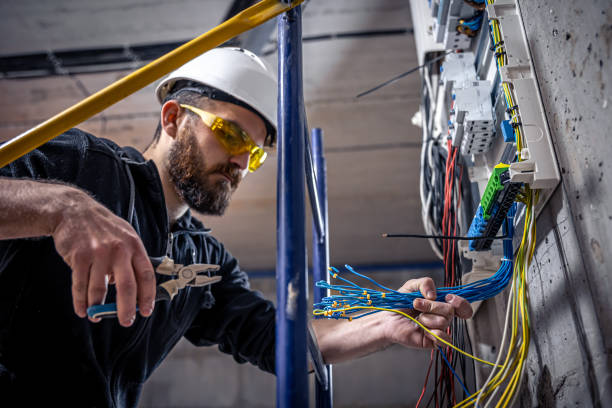 Best Electric Panel Repair  in Coaldale, PA